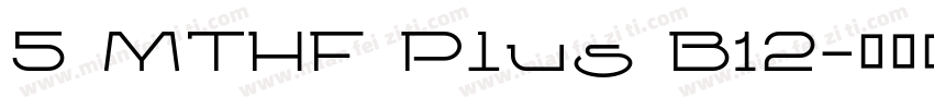5 MTHF Plus B12字体转换